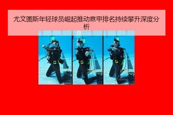you-wen-tu-si-nian-qing-qiu-yuan-jue-qi-tui-dong-yi-jia-pai-ming-chi-xu-pan-sheng-shen-du-fen-xi-2-607.jpg